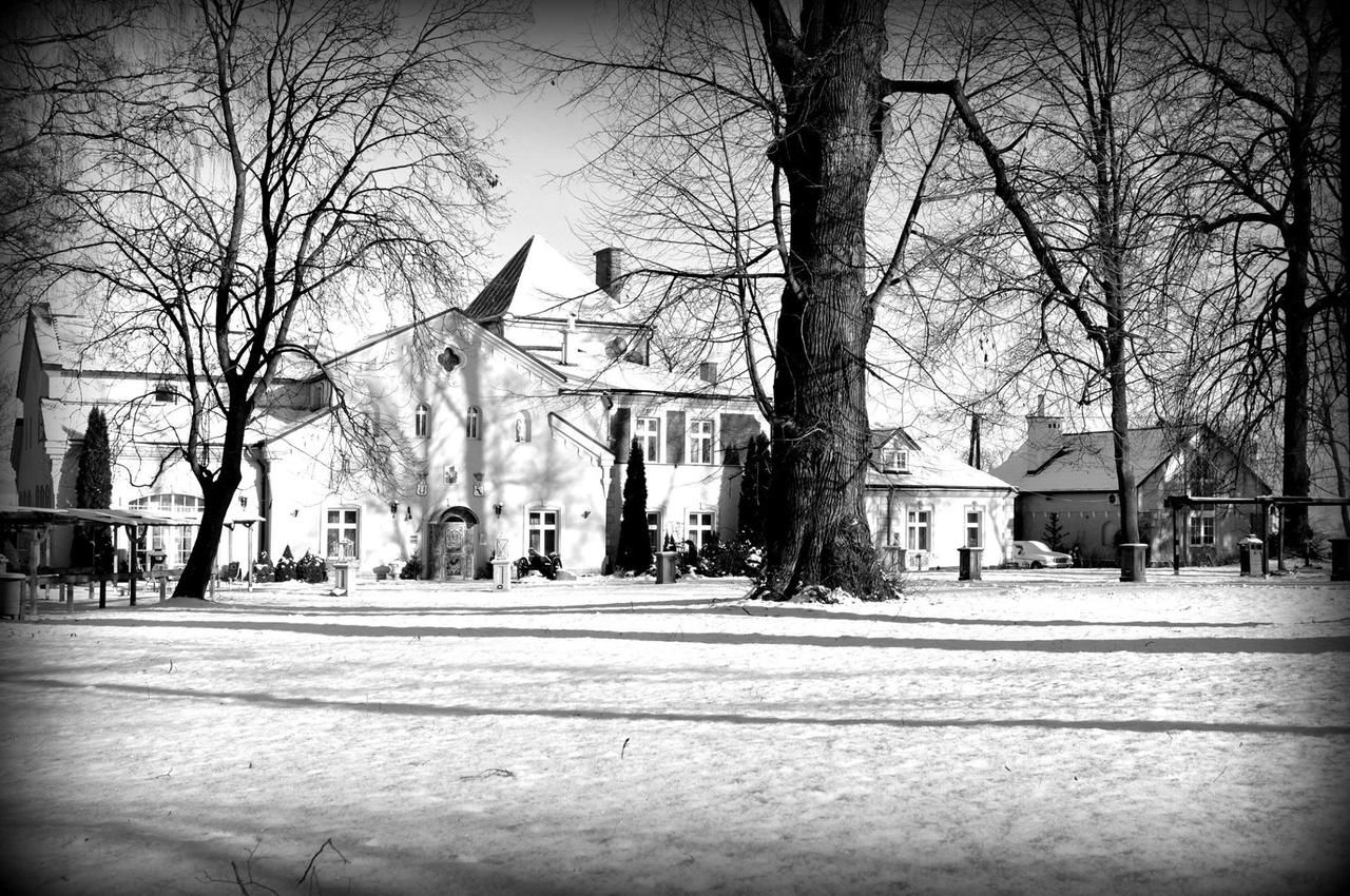 Отели типа «постель и завтрак» Dwór Boratyn Boratyń